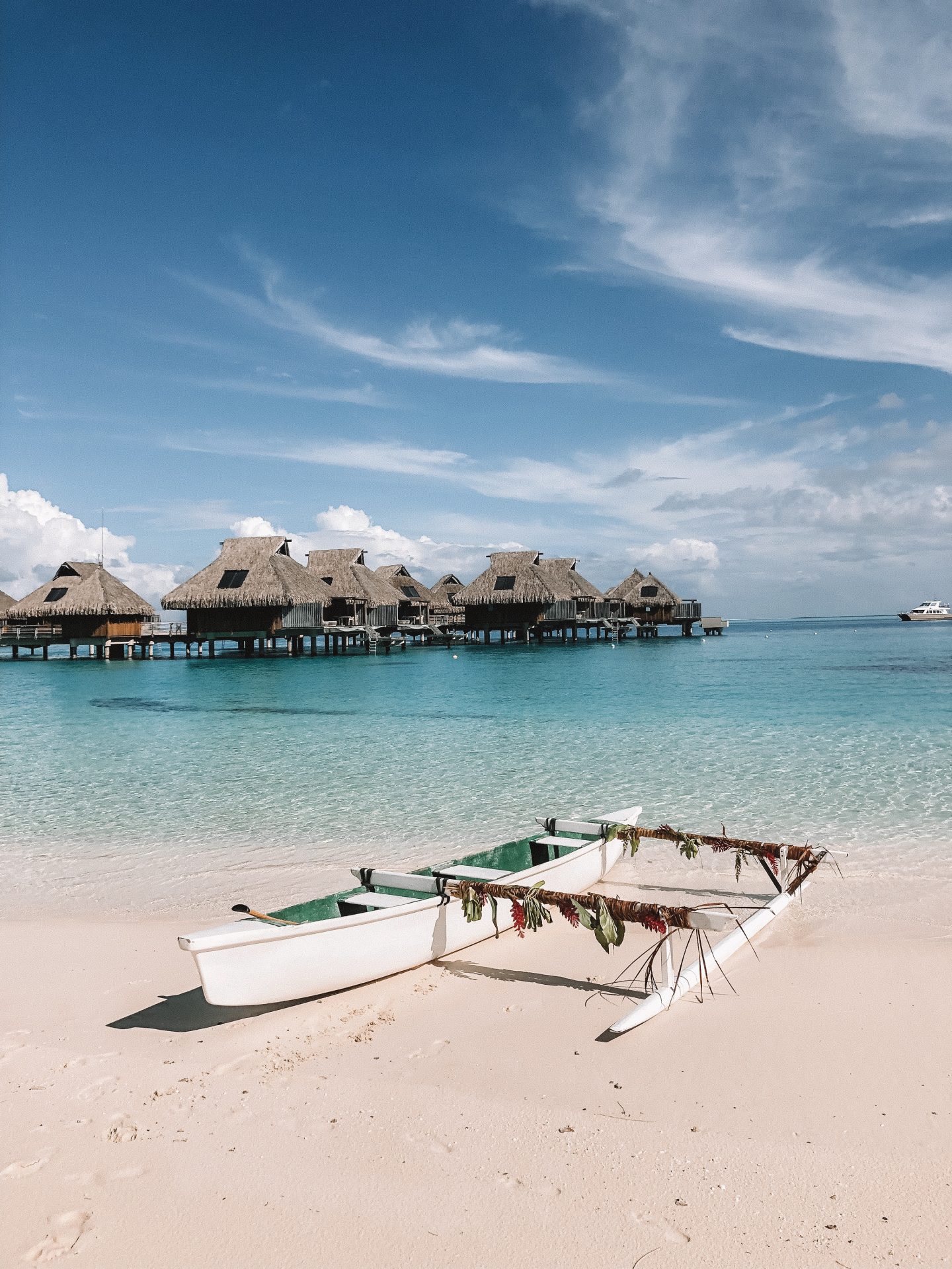 IMG_1976 Blondie Baby