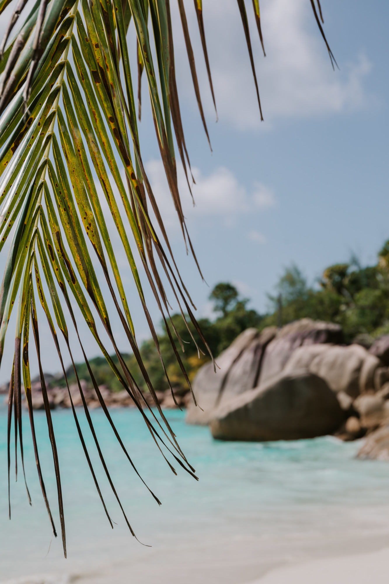 Les plus belles plages des Seychelles - Blondie Baby blog voyage